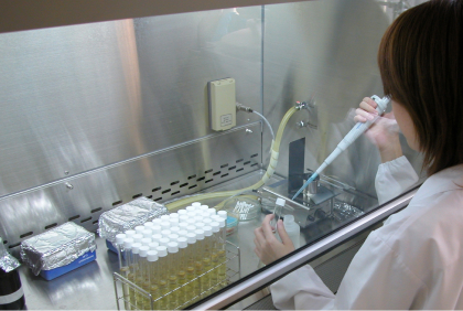 働く従業員の写真